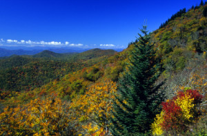 Tennessee Car Insurance Quotes