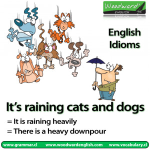 ... “It’s raining cats and dogs” and wondered what it means