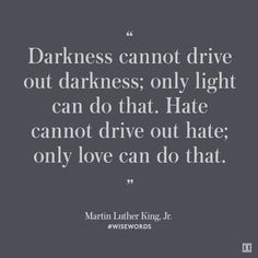 darkness; only light can do that. Hate cannot drive out hate; on love ...