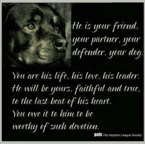 The Rottweiler - so truely devotional