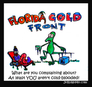 Florida Cold Weather Jokes
