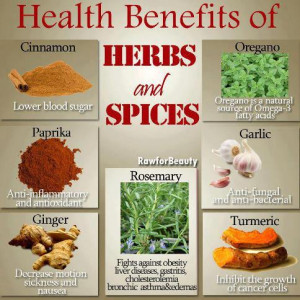 ... benefits of Herbs & Spices ~ We are part of nature and vice versa