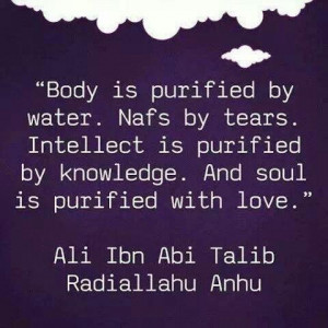 Pinned by Striving-for-Jannah♡