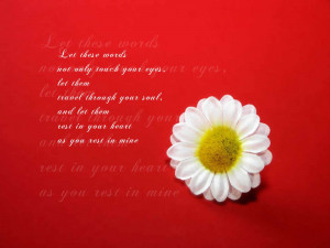 Love Quotes Desktop Wallpapers
