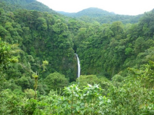 waterfall costa rica tropical rainforest nature photography rainforest