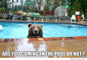 Are you coming in the pool or not? – Pool Bear