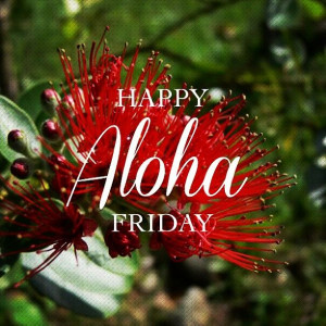 Happy Aloha Friday from PIpeline Clothes & Gear.