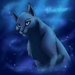 ... yeeeeyz for flaming starclan cats nother warrior cat spedpaint