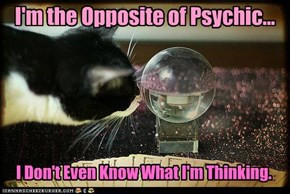 ... Of Psychic, I Don’t Even Know What I’m Thinking. ~ Cat Quotes