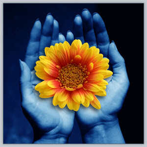 Eco-Style Life Beau Monde