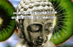 top 100 motivational quotes Purple Buddha Project Quotes