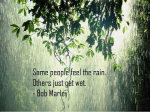green leaves in rain rainy quotation wallpapers