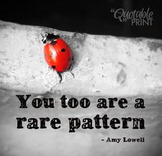 Daily Quote - You too are a rare pattern. - Amy Lowell #quote #ladybug ...