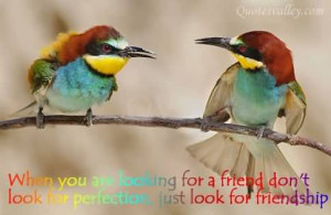 When You Are Looking For A Friend~ Friendship Quotes