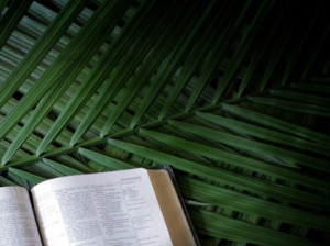 Preview for BIBLE PALM SUNDAY BRANCHES