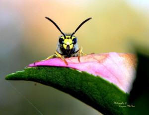 Close Proximity Shown The...