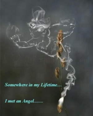 ... .pics22.com/somewhere-in-my-lifetime-angel-quote/][img] [/img][/url