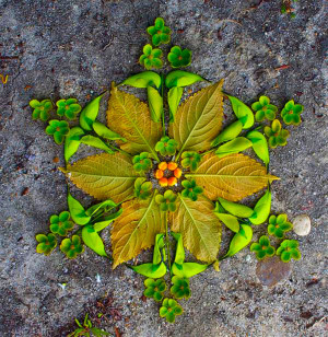 Flower-Mandalas-by-Kathy-Klein
