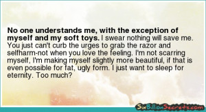 No One Understand Quotes