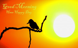 Sunrise Love Quotes Good morning with sunrise bird