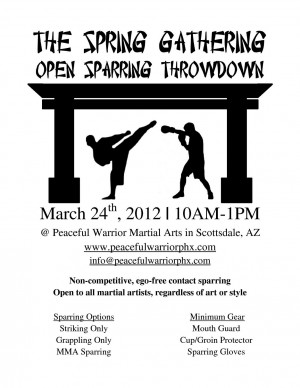 The Spring Gathering Open Sparring Throwdown