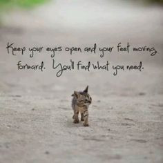 quotes about warm fuzzies | Keep moving foward | Quotes && Warm ...