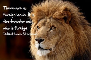 Lion Quotes Inspirational Inspirational travel quotes