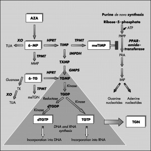 Search Result For Gud Morn