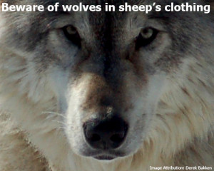 wolves_in_sheeps.jpg