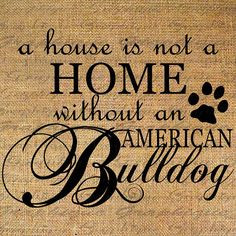 ... True, Luv My American, Animal, American Bulldog Quotes, 720621 Pixel