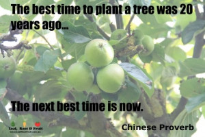 The best time to plant a tree was twenty years ago. the next best time ...