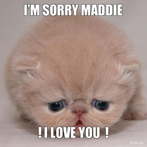 SORRY MADDIE, ! I LOVE YOU !