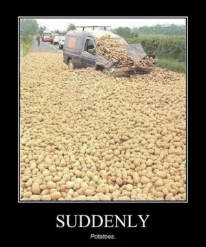 Funny Potato Pictures (11)