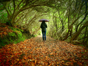 Go Back > Gallery For > Girl Walking Away In The Rain