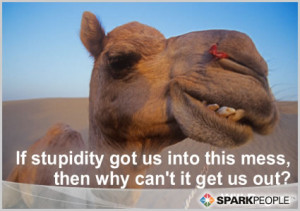 Motivational Quote - If stupidity got us into this mess, then why can ...