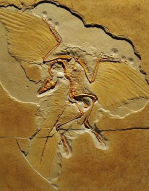 prehistoric animals