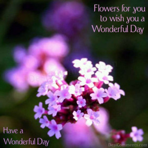 Wish You A Wonderful Day