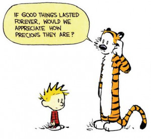 Calvin and Hobbes - If good things lasted forever, would we appreciate ...