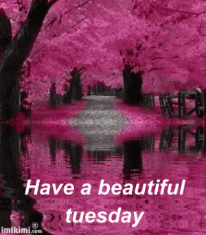 ... Tuesday Quotes, Beautiful Tuesday, Good Tuesday Morning, Tuesday Quote