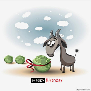 Funny Birthday Wishes Cards With Quotes-