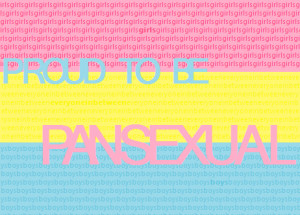 Image: a pansexual flag (light/pastel colours) where the pink stripe ...