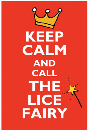 Why would you recommend The Lice Fairy and eco kid