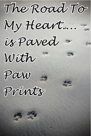 Paw Prints