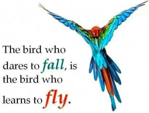 Learn to fly!