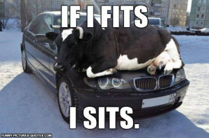 Leave a Reply Cancel reply