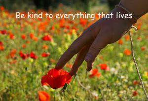 be kind to everything that lives -