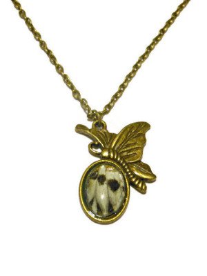 Butterfly Wing Necklace, real butterfly wing charm with quote 