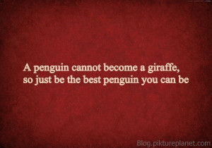 penguin cannot become a giraffe, so just be the best penguin you can ...