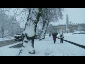 Cold Weather Funny Quotes Winter 2012 Funs Picture