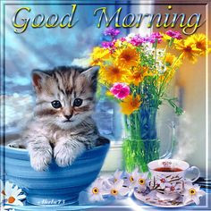 ... quote coffee kitten good morning good morning greeting morning gif